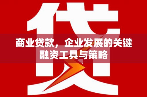 疏附商业贷款，企业发展的关键融资工具与策略