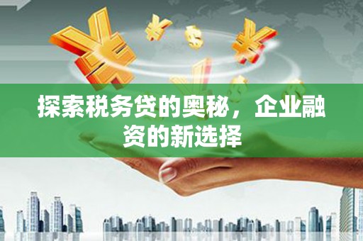 疏附探索税务贷的奥秘，企业融资的新选择