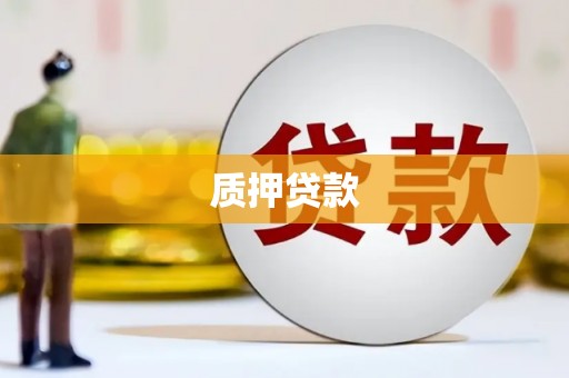 疏附质押贷款