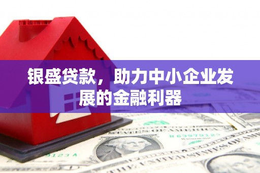 疏附银盛贷款，助力中小企业发展的金融利器