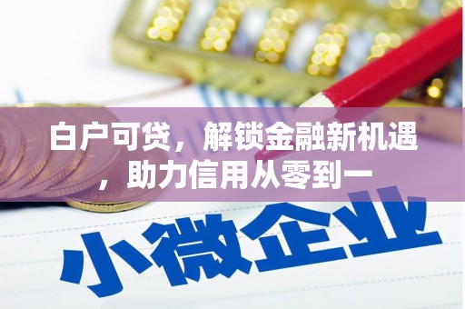 疏附白户可贷，解锁金融新机遇，助力信用从零到一