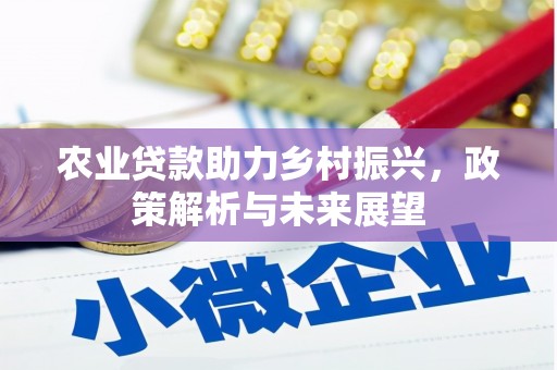 疏附农业贷款助力乡村振兴，政策解析与未来展望