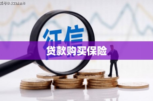 疏附贷款购买保险
