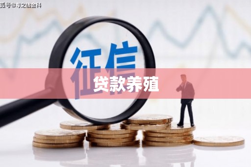 疏附贷款养殖
