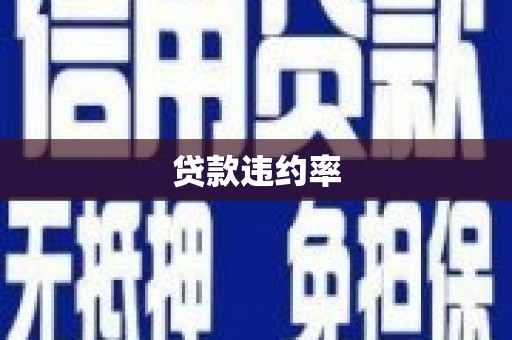 疏附贷款违约率