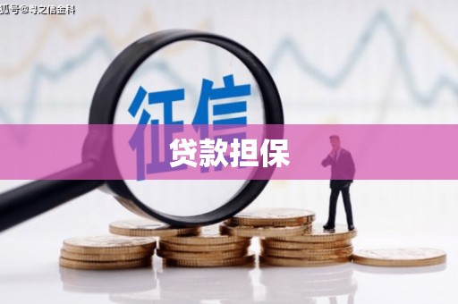 疏附贷款担保