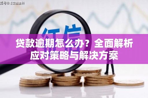 疏附贷款逾期怎么办？全面解析应对策略与解决方案