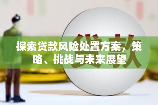 疏附探索贷款风险处置方案，策略、挑战与未来展望