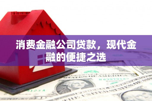疏附消费金融公司贷款，现代金融的便捷之选