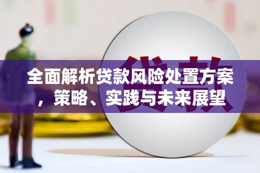 疏附全面解析贷款风险处置方案，策略、实践与未来展望