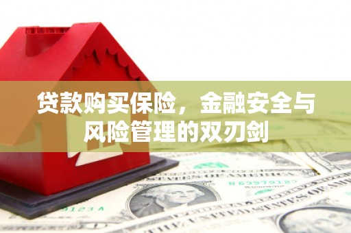 疏附贷款购买保险，金融安全与风险管理的双刃剑
