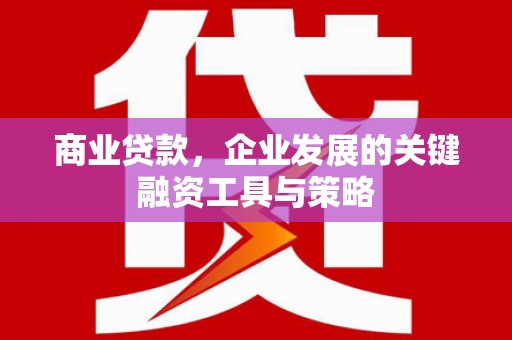 疏附商业贷款，企业发展的关键融资工具与策略