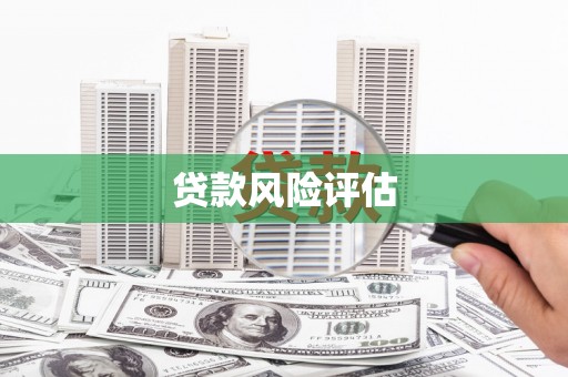 疏附贷款风险评估