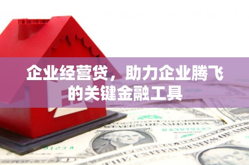 疏附企业经营贷，助力企业腾飞的关键金融工具
