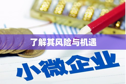 疏附了解其风险与机遇