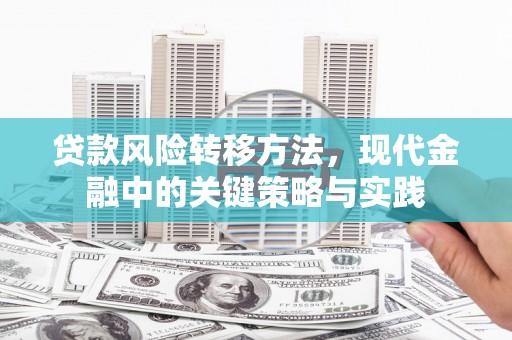 疏附贷款风险转移方法，现代金融中的关键策略与实践