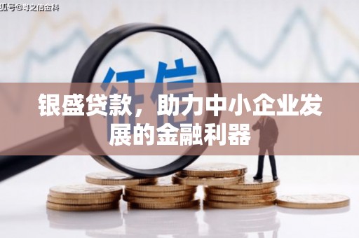 疏附银盛贷款，助力中小企业发展的金融利器