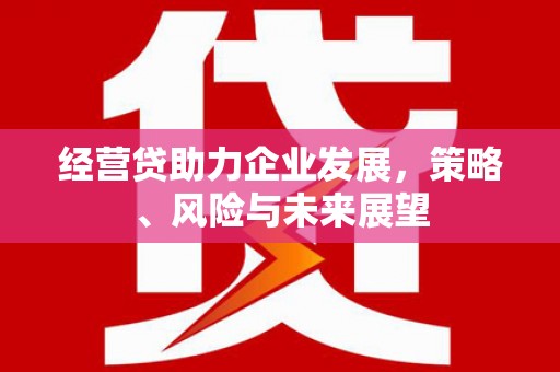 疏附经营贷助力企业发展，策略、风险与未来展望