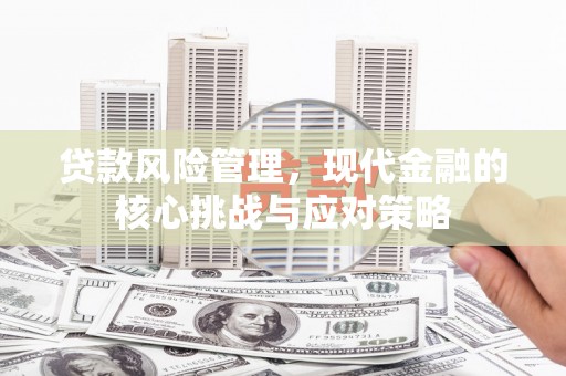 疏附贷款风险管理，现代金融的核心挑战与应对策略
