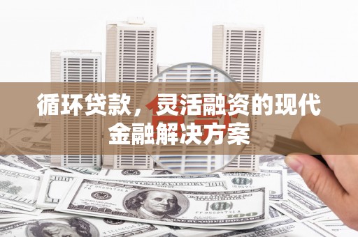 疏附循环贷款，灵活融资的现代金融解决方案