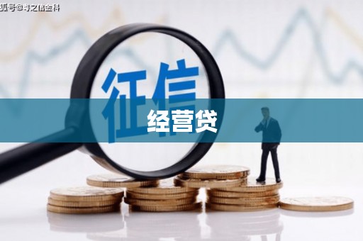 疏附经营贷