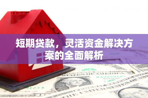疏附短期贷款，灵活资金解决方案的全面解析