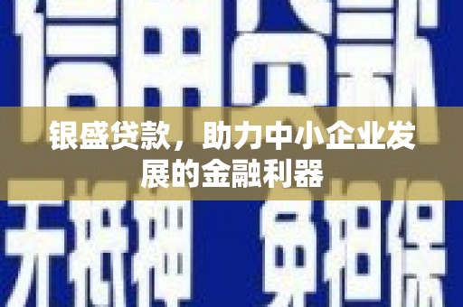 疏附银盛贷款，助力中小企业发展的金融利器