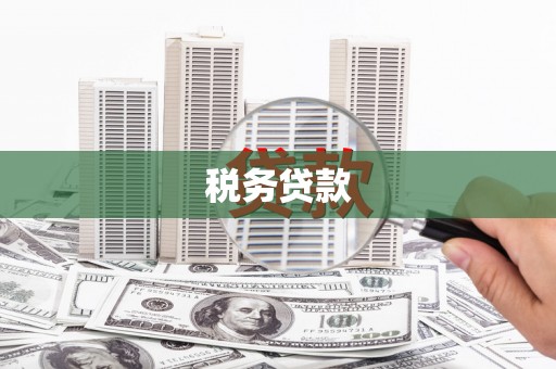 疏附税务贷款
