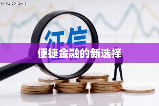 疏附便捷金融的新选择