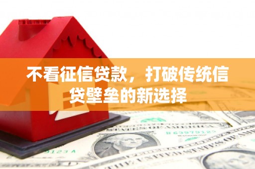 疏附不看征信贷款，打破传统信贷壁垒的新选择