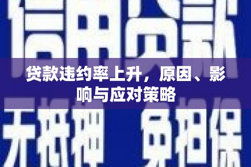 疏附贷款违约率上升，原因、影响与应对策略