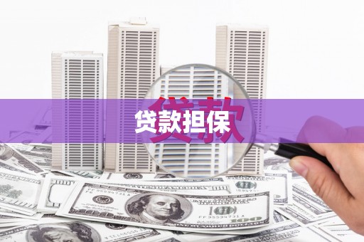 疏附贷款担保