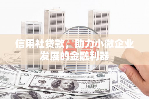 疏附信用社贷款，助力小微企业发展的金融利器