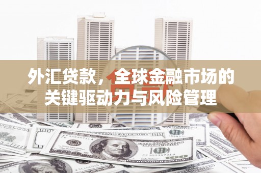 疏附外汇贷款，全球金融市场的关键驱动力与风险管理