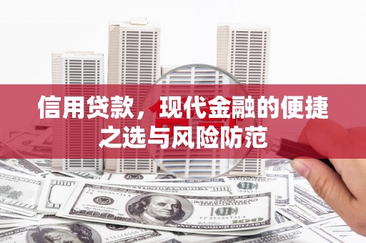 疏附信用贷款，现代金融的便捷之选与风险防范