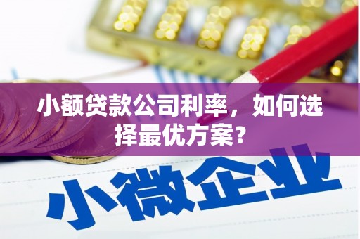 疏附小额贷款公司利率，如何选择最优方案？