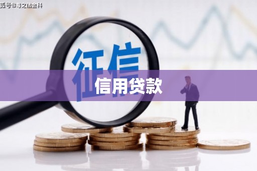 疏附信用贷款
