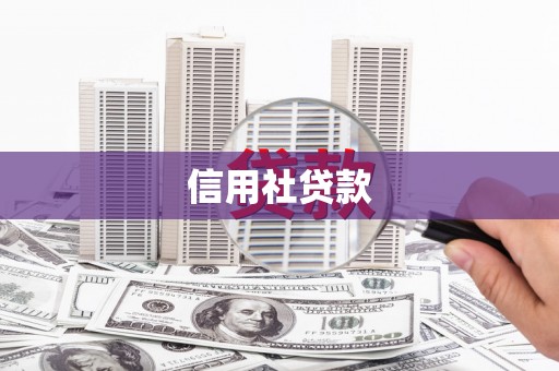 疏附信用社贷款