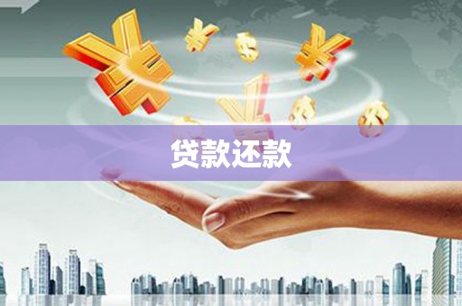 疏附贷款还款