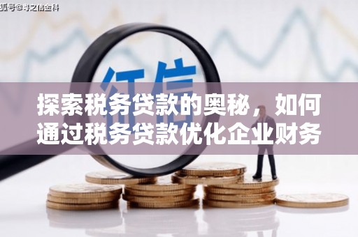 疏附探索税务贷款的奥秘，如何通过税务贷款优化企业财务