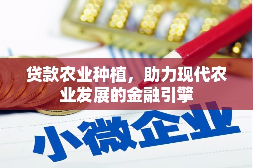 疏附贷款农业种植，助力现代农业发展的金融引擎