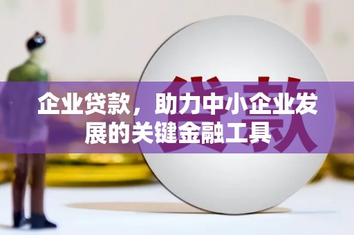 疏附企业贷款，助力中小企业发展的关键金融工具