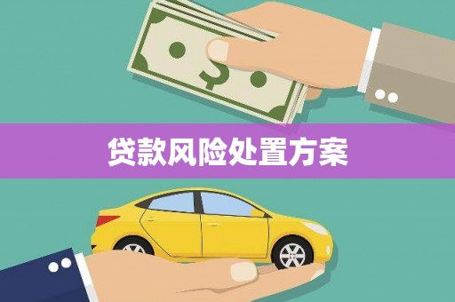 疏附贷款风险处置方案