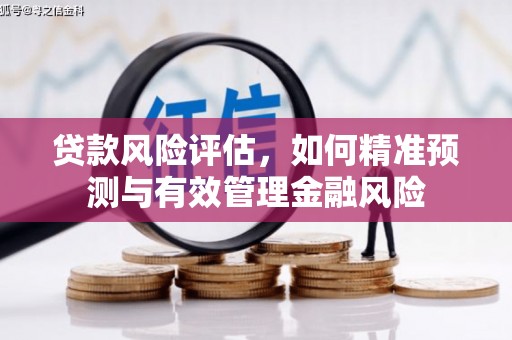 疏附贷款风险评估，如何精准预测与有效管理金融风险