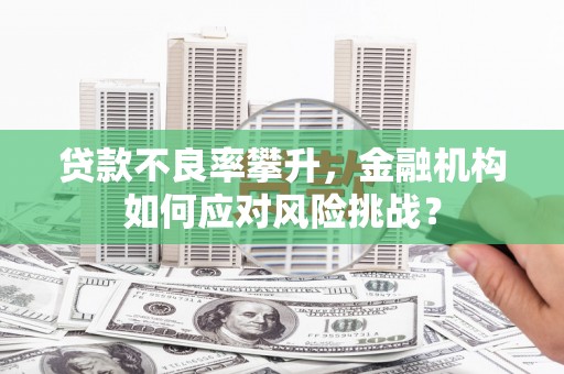 疏附贷款不良率攀升，金融机构如何应对风险挑战？