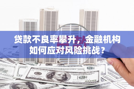 疏附贷款不良率攀升，金融机构如何应对风险挑战？