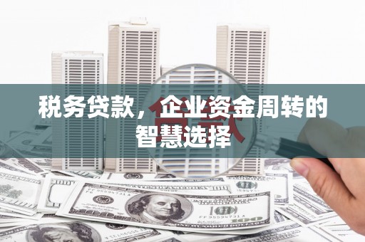 疏附税务贷款，企业资金周转的智慧选择