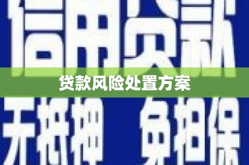 疏附贷款风险处置方案