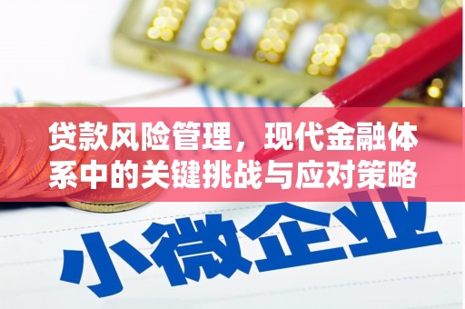 疏附贷款风险管理，现代金融体系中的关键挑战与应对策略