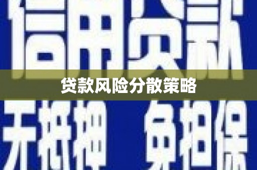 疏附贷款风险分散策略